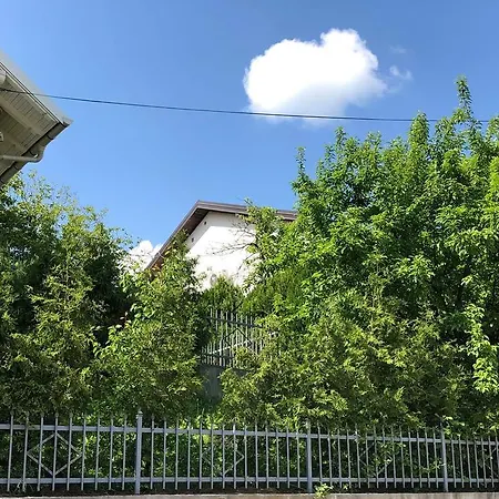 Hadzovic