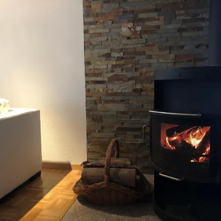 Hadzovic 펜션 *